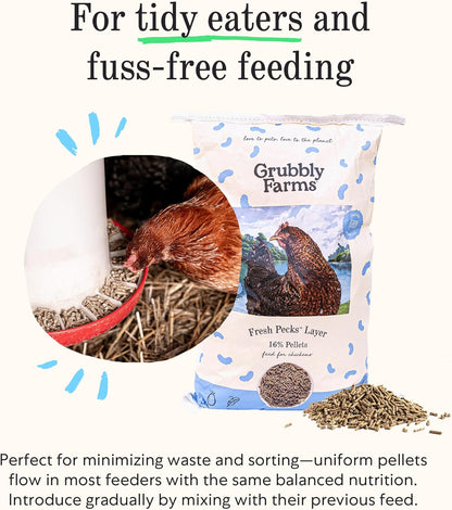 Layer Chicken Feed Pellets - photo 3