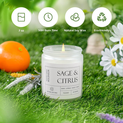 Sage Citrus Scented Candle, Soy Wax 7 oz