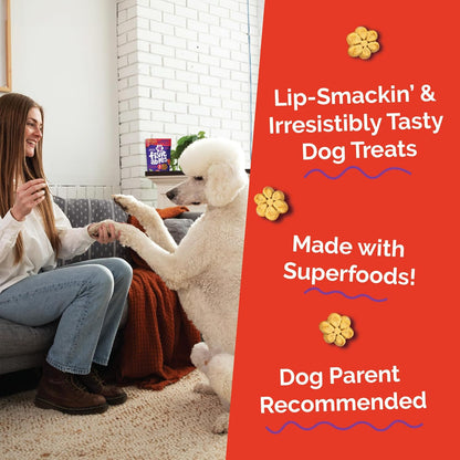 Baked Dog Treats, Pumpkin Snacks for Dogs, Low Calorie & Delicious, No Wheat, Corn or Soy, Healthy Puppy - photo 3