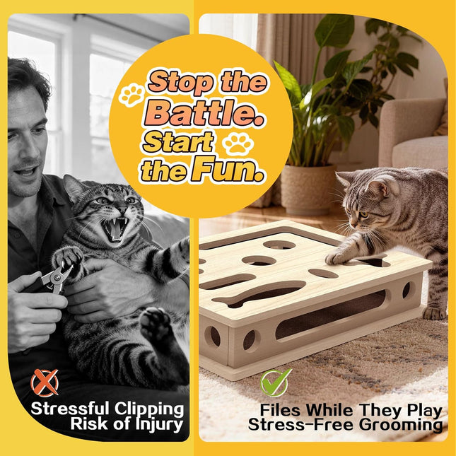 Interactive Cat Scratch Puzzle Enrichment Box