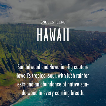 Hawaii Gifts, Hawaii Decor for Home - 'There's No Place Like HawaiiCandle, w/Tropical Fig & Native Sandalwood I Hawaii Souvenirs I Hawaii State Gifts I 9oz Jar, 50Hr Burn, USA Made