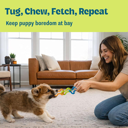 Bone Tugz Tug & Chew Dog Toy — Bendy, Textured Rubber for Tug-of-War, Light-Moderate Chewers, Teething Puppies & Small Dogs, 6.25" x 1.75"