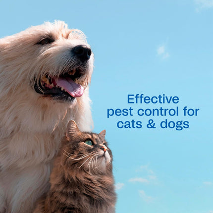 ADAMS Plus Flea & Tick Shampoo with Precor for Dogs, Cats, Puppies & Kittens, Flea Shampoo to Treat Flea Infestations, Kills Ticks, Fleas, Flea Eggs & Lice, Cleans and Conditions Coat, 6 Ounces