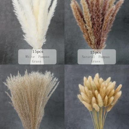 xin's convey 110pcs Dried Pampas Grass, (Vase Not Included),Dried Flower Bouquet, Reed Grass Bouquet for Boho Floral Home, Wedding Party Centerpiece, Rustic Farmhouse Decoration.(Brown)