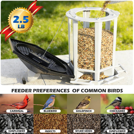 Birdream Solar Bird Feeders for Outdoors Hanging, Assembly Required, 1-Min Easy Setup, Wild Seed Feeders for Cardinals Chickadees and Finches