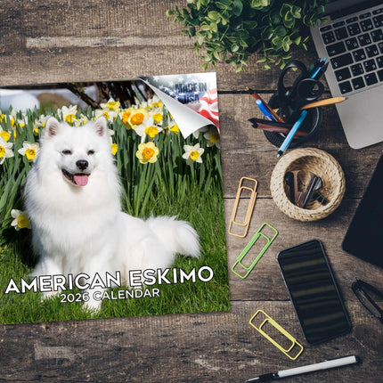 American Eskimo Calendar 2026 – 16-Month Dog Breed Wall Calendar by MegaCalendars – Large Daily Blocks, Thick No-Bleed Paper, Made in USA