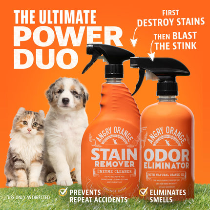 Eliminador de olores para mascotas para orina de perro y gato, Orange Rush, 24 oz