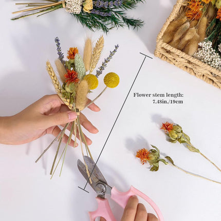 DIY Natural Dried Flower Set, Bulk Dried Flowers for Vase, Dried Flowers with Stems, Dried Roses, Mini Dried Flower Bouquets.(Brown)