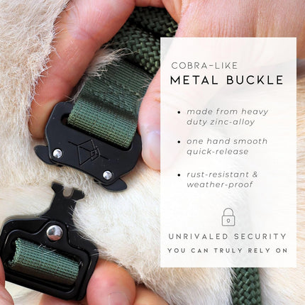 Made to ROAM Premium Dog Collar - Adjustable Heavy Duty Nylon Collar with Quick-Release Metal Buckle (California Horizon, Classic Size 3)