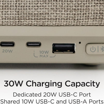 iHome PowerPlant Charging Station, Faux Succulent with USB Charging Station (Power Plant Speaker)