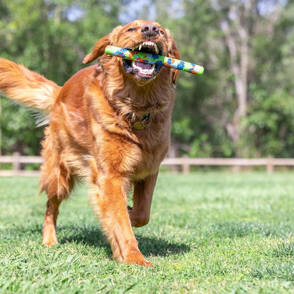 Chuckit! EcoFetch Fetch Stick Dog Toy, Pack of 1, for All Breed Sizes (EcoFetch Stick)