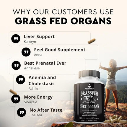 Grass-Fed Beef Organ Complex — Liver Heart Kidney,