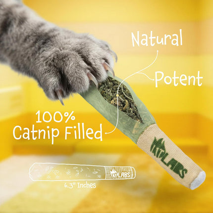 LIT LABS Cat Doobie 3 Pack Catnip Toys for Cats, Funny Cat Toys, Safe Kitten Teething Chew and Kicker Toys, Stress Relieving Indoor Cat Gifts that Hit Different