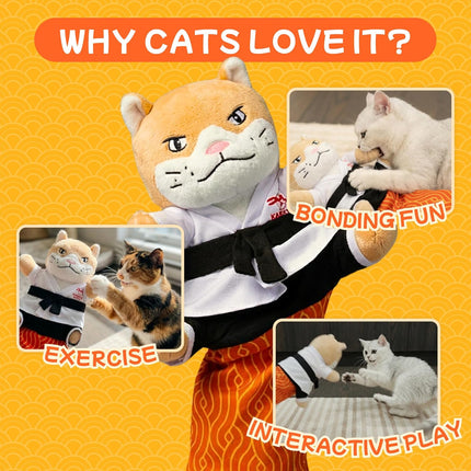 KARATE KITTY Cat Puppet Toy with Arm Sleeve – Boxing & Arm Wrestling Glove for Cats with Realistic Movements, Catnip Pocket & Crinkle Ears