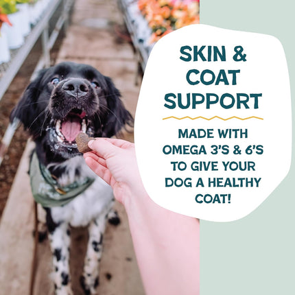 Shameless Pets Soft-Baked Dog Treats, Bananas for Bacon - Natural & Healthy Dog Chews for Skin & Coat Support with Omega 3 & 6 - Biscuits Baked & Made in USA, Free from Grain, Corn & Soy - 1-Pack