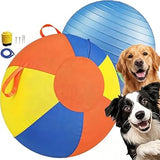 Medium Herding Ball for Dogs & Horses with Pump