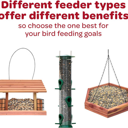 Kaytee Wild Bird American Blend Seed Cake, 2.3 Pounds