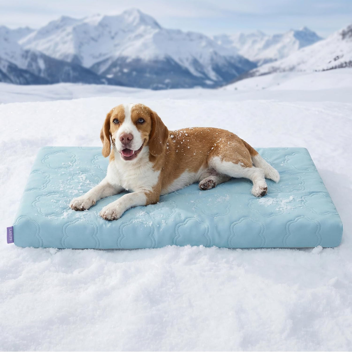 Cooling Orthopedic Dog Bed with Washable Cover, 35 x 22 Inch