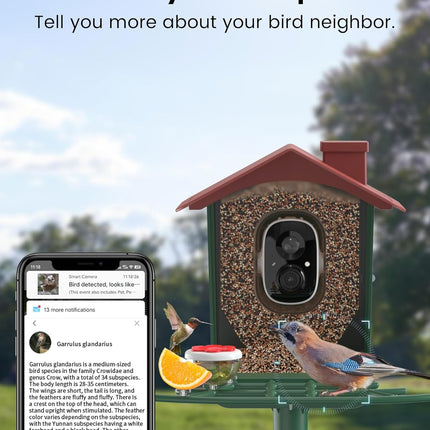 Smart Bird Feeder with Camera Outdoor: Solar Birdfeeder Cam for Outside Garden - 2K HD Live Video Camera AI Recognition Visible Window Auto Capture - Bird Lover Gifts