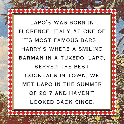 Lapo's Mocktail Variety Pack, Includes Espresso Martini, Pomegranate Mule, Spritz & Negroni, Non Alcoholic Drinks, Gluten Free, Alcohol Free Cocktails, Natural Ingredients, 8 FL OZ Cans, 4 Pack