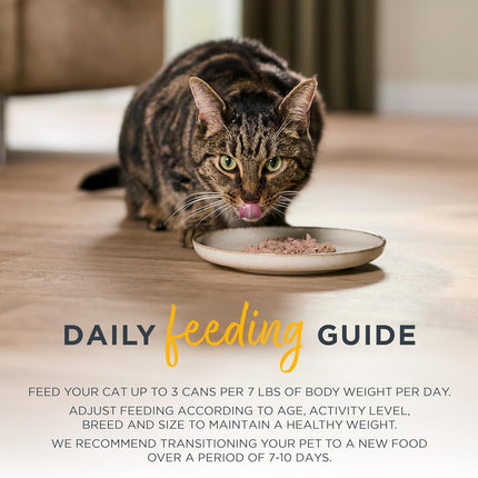 Reveal Entrées Natural Wet Cat Food, Grain-Free with Added Vitamins & Minerals, Carrageenan-Free and High Protein, Variety Selection in Broth (12 x 2.47 oz cans)