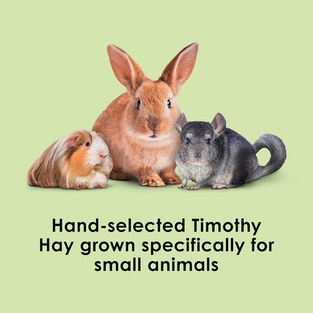 Timothy Hay, High Fiber, Grown Specifically for Small Animals