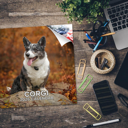 Corgi Calendar 2026 by MegaCalendars – Monthly Dog Breed Wall Calendar, Made in USA