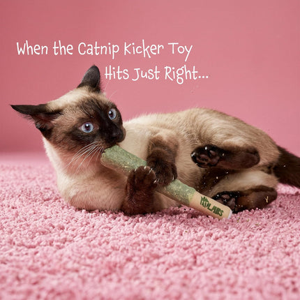LIT LABS Cat Doobie 3 Pack Catnip Toys for Cats, Funny Cat Toys, Safe Kitten Teething Chew and Kicker Toys, Stress Relieving Indoor Cat Gifts that Hit Different