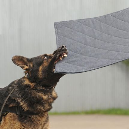 Dog Bed - Chew Proof Crate Pad, Machine Washable Quilted Mat for Aggressive Chewers, Durable for Medium Dogs, Black Kennel Pad (22x35 in)