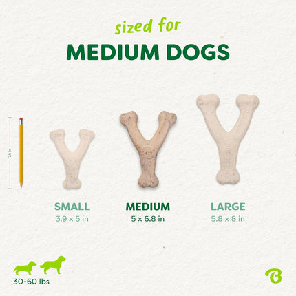 Benebone Green Plant-Based Real Bacon Wishbone Dog Chew Toy for Medium Dogs, Dog Bones for Moderate Chewers, Made in USA