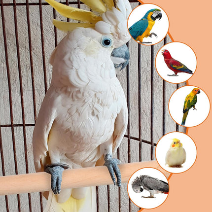 4PCS Bird Perches Parakeet Perches Wooden Parrot Perch Stand Wood Perche with Different Widths Bird Cage Toys Cage Accessories for Macaws, Small Parakeets, Conures, Budgies, Finches