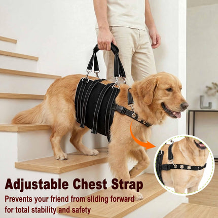 CWV Adjustable All Dog Lift Harness for Large Dogs, Soft and Portable Dog Dling for Large Dogs Hind Leg Support,Help em up Harness for Senior, Injured, Disabled and After Surgery Dogs, Large