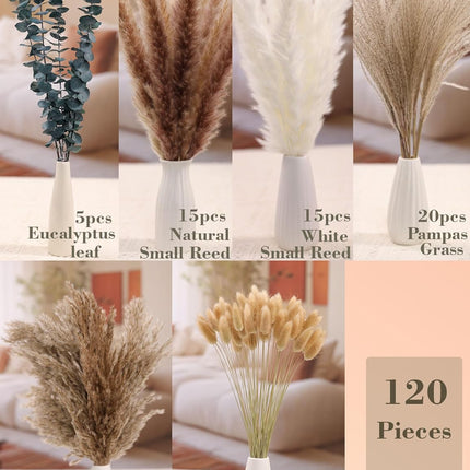 xin's convey 120 PCS Dried Pampas Grass, Dried Flowers, Reed Grass Bouquet for Bohemian Flowers Home Table Wedding Decoration, Rustic Farmhour.(Light Brown)
