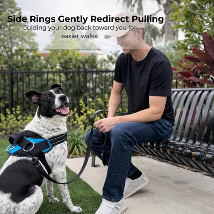 ShawnCo Essential Dog Harness, No-Pull Pet Vest with 3 Leash Clips, No Choke, Reflective, Adjustable and Padded, for Easy Walking and Training for Small, Medium and Large Dogs (Oceanic Blue, S)