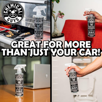 Chemical Guys Black Frost Air Premium Car Air Freshener Spray & Odor Eliminator - Crisp Masculine Scent Spray for Trucks, SUVs, RVs, and Motorcycles - Use in Home, Office, or Garage, 16 oz Bottle