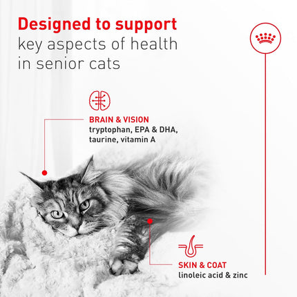 Royal Canin Feline Health Nutrition Aging 11+ Wet Cat Food for Seniors, Thin Slices in Gravy for Cats Over 11 Years, Supports Optimal Health & Vitality, 3 oz can, case of 12
