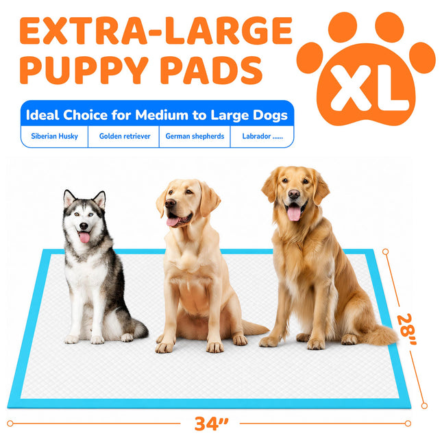 100 Count Puppy Pads 28"x34", Extra Large, Super Absorbent