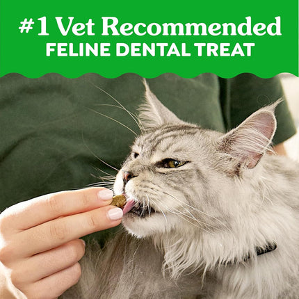Greenies Cat Treats, Feline Veterinarian-Recommended Adult Natural Dental Cat Treats, Oven Roasted Chicken Flavor, 2.1 oz. Pouch