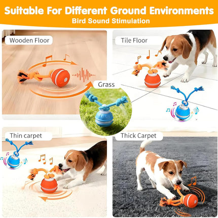 Interactive Dog Toys,Dog Ball Toy with Squeaky Birdsong Sound and Stimulation,Automatic Motion Activated Dog Toy for Boredom,Indoor Outdoor Pet Exercise Toy for Small/Medium Dogs(Blue)