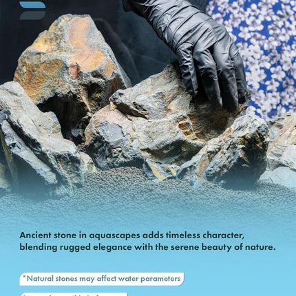 SubstrateSource Natural Aquarium Stones - Angular Dark Brown & Rust-Toned Decorative Rocks w/Layered Texture - Freshwater Aquascaping, Betta Fish Tank, Reptile Enclosure, Hermit Crab - Ancient, 10 LB