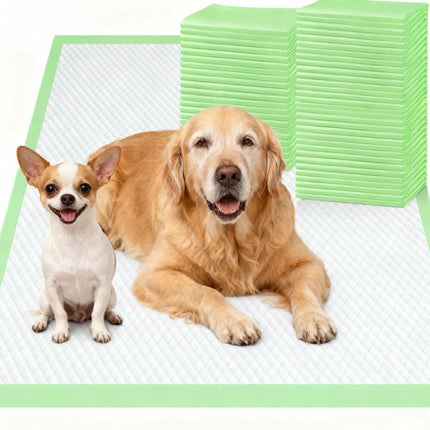 XL 6-Layer Ultra Absorbent 1200ml 48-Hour Leak-Proof Dog Pee Pads, Quick Dry Extra Large Puppy Pads for Puppy Training, Senior & Incontinent Dogs, Cats, Overnight Use, 28"x34", 30 Count