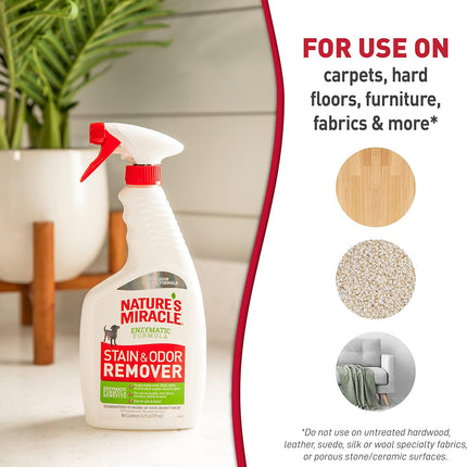 Nature's Miracle Dog Stain and Odor Remover, Everyday Mess Enzymatic Formula, 24 fl oz