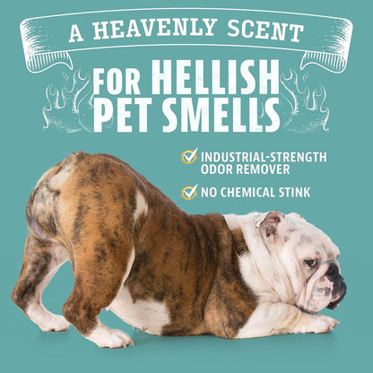 Pet Odor Eliminator Citrus Cleaner with Natural Orange Oil, 24 oz - photo 3
