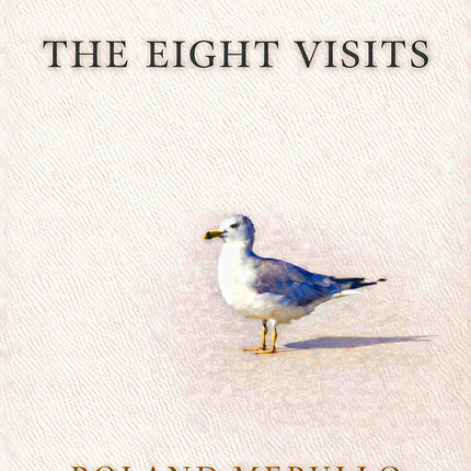 The Eight Visits