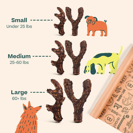 WOOF HonestChew Meaty Dog Toy Y-Gnawt - Durable Dog Chews - Made with Real Beef and Natural, Plant-Based Ingredients - Splinter-Resistant - Safer Than Dog Bones - Medium