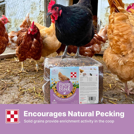 Purina® Farm to Flock® Protein Block for Chickens & Turkeys, 20 Pound Block