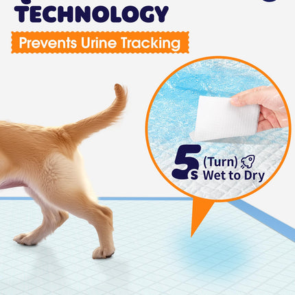 Puppy Pads, 22 x 22 in, Super Absorbent, Spill-Proof, 100 Packs