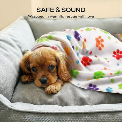 LINENLUX Cute Dog Blanket for Small Medium Dogs 6-Pack Soft Stretchy Fleece Blankets for Pet Cat Puppy Warm Wrinkle-Resistant Throw for Couch Bed Outdoor Mix 31x24 inch (Pack of 6)