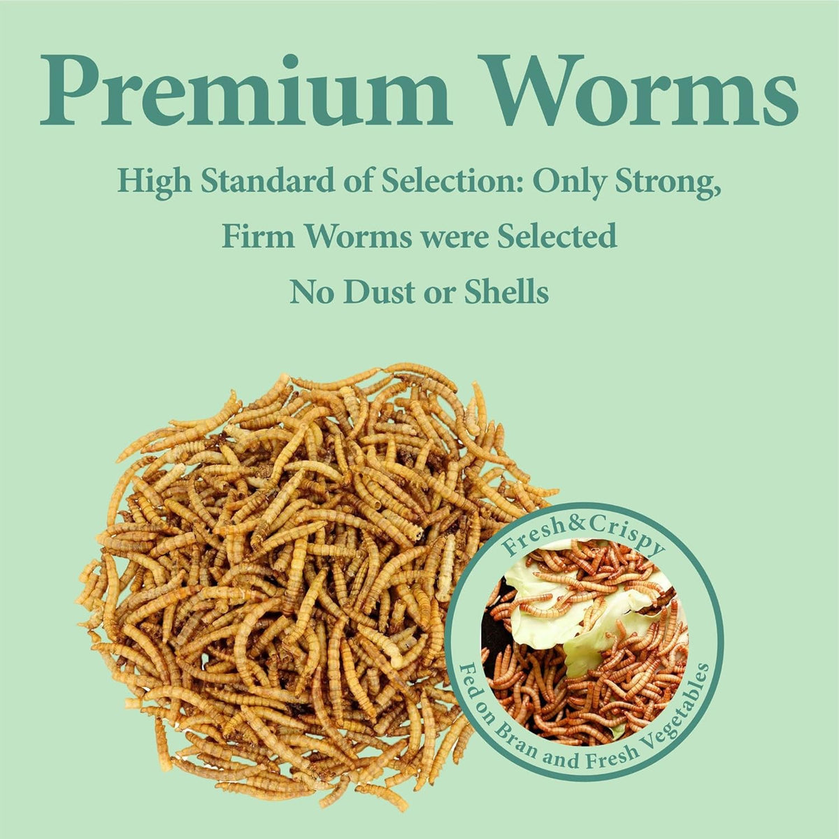 2LB Dried Mealworms for Poultry, Wild Birds,Tasty Bird Food - photo 4