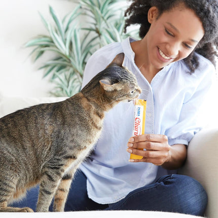 INABA Churu Cat Treats, Lickable, Squeezable Creamy Purée Cat Treat with Green Tea Extract & Taurine, 0.5 Ounces Each Tube, 20 Tubes, Chicken & Beef Variety Box